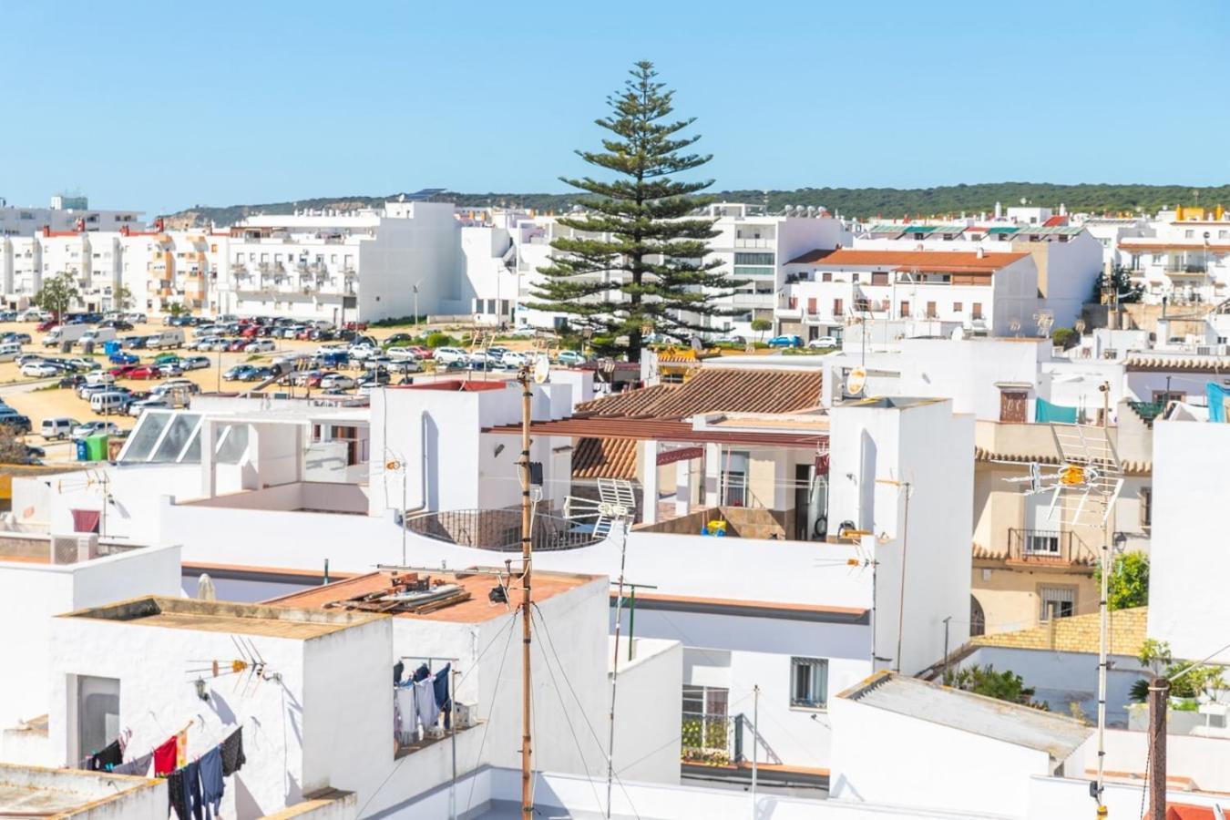 Casa Los Hierros | Reformada Cerca Playa Barbate Eksteriør billede